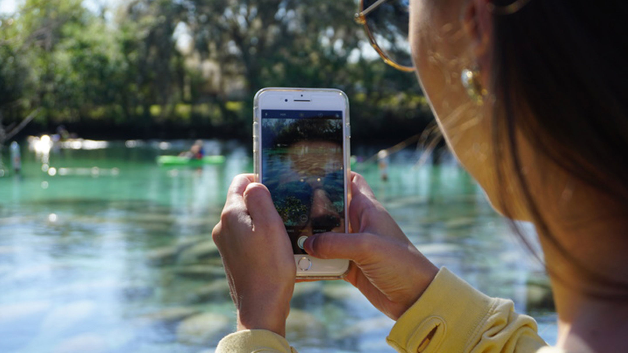 A girl taking a photo of manatees on her iphone.