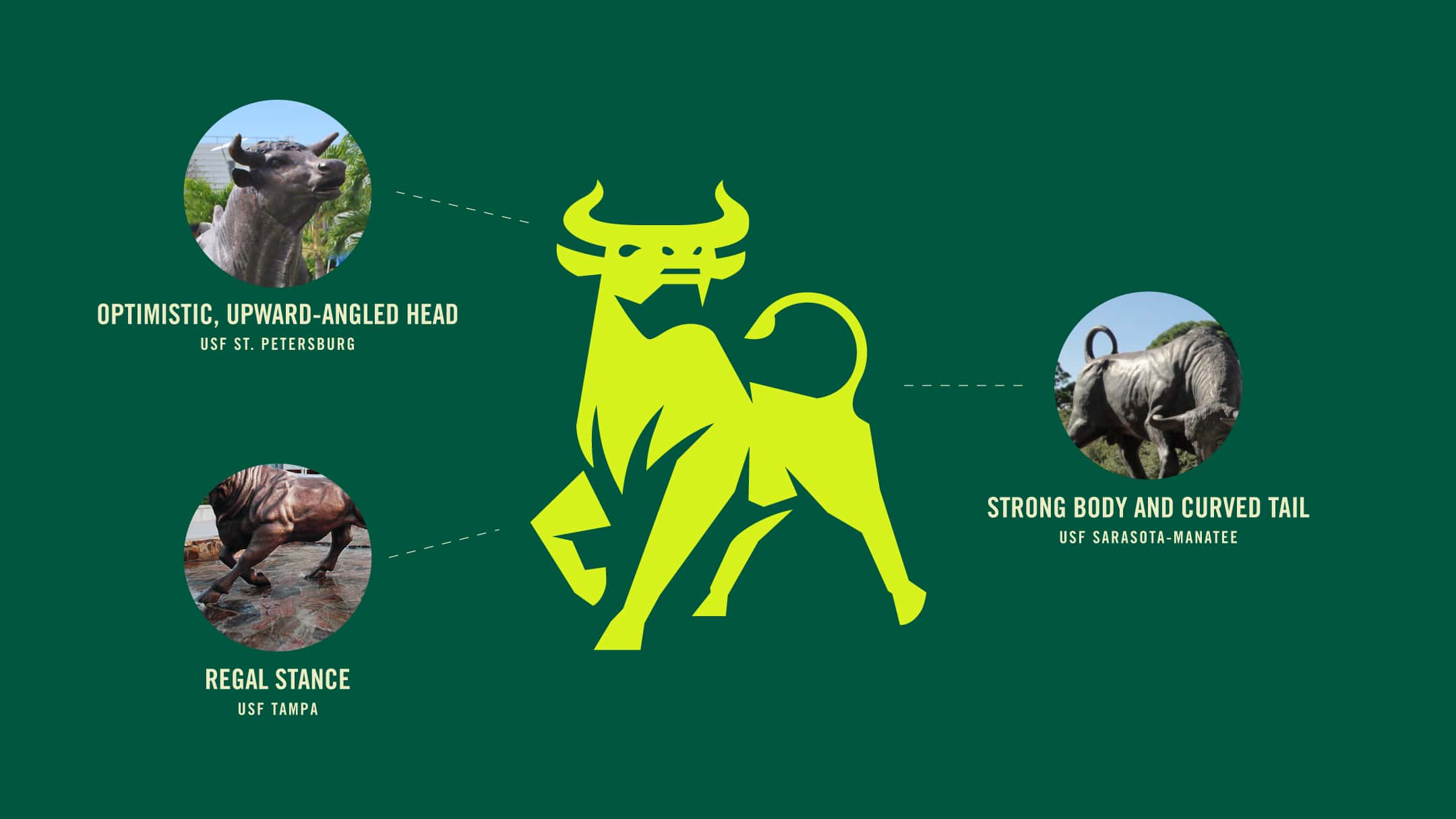 How USF's various campuses inspired the new USF Academics Logo