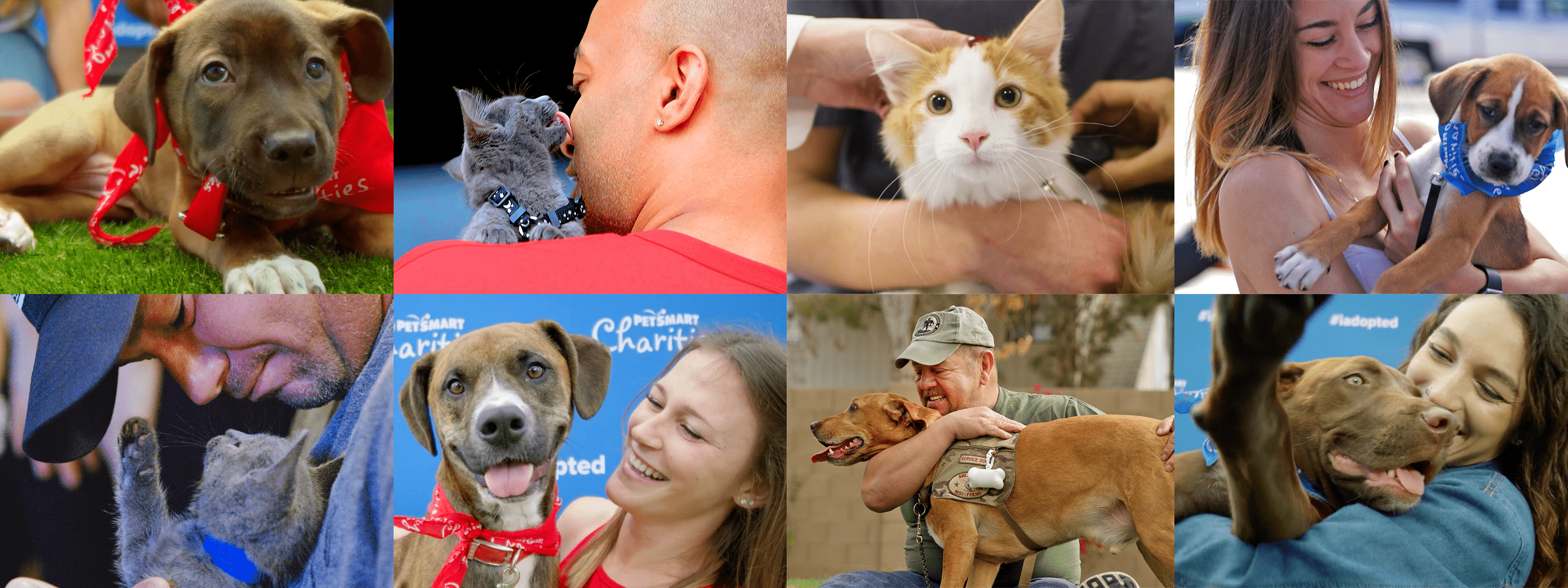 a tiled image of people interacting with pets at petsmart charities adoption events
